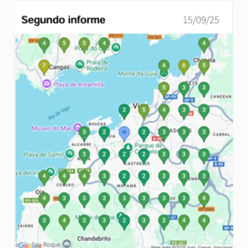 Auditoría gratuita de SEO local en Vigo con Nieves Merino